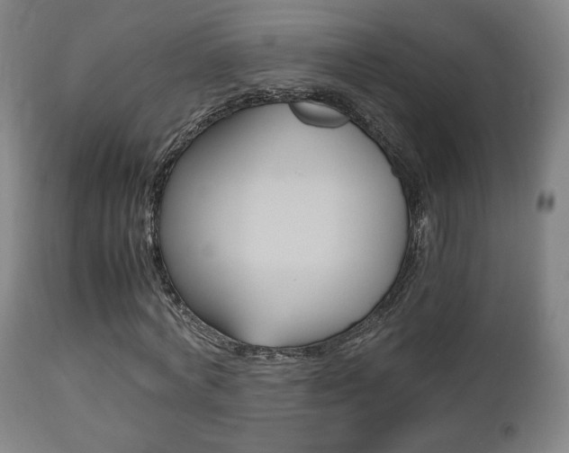X0000112510772200908171047