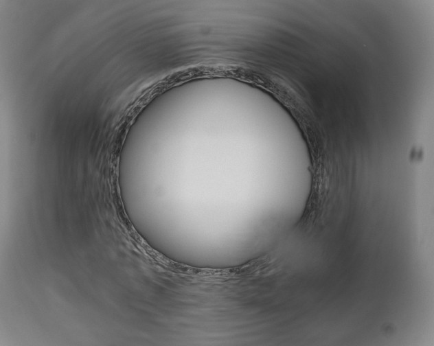 X0000112510773200908171047