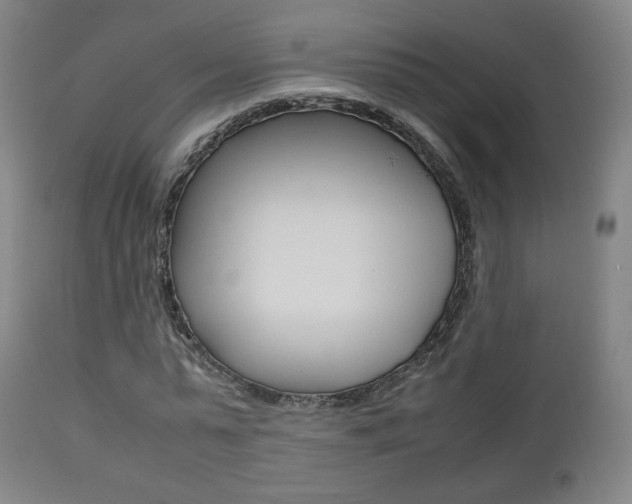 X0000112510775200908171047