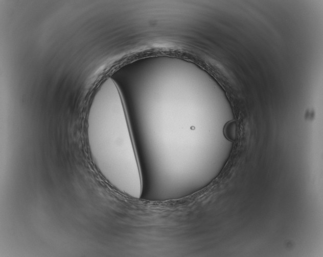 X0000112510776200908171047