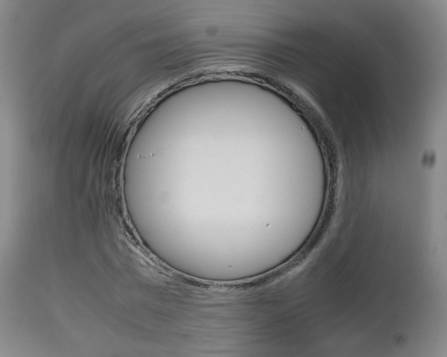X0000112510777200908171047