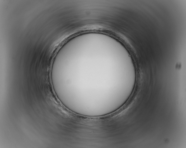 X0000112510778200908171047