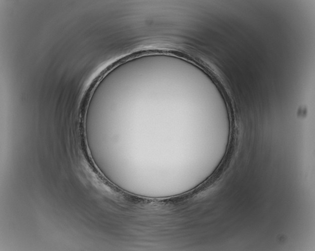 X0000112510779200908171047