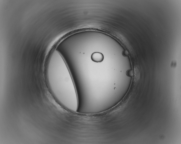X0000112510780200908171047