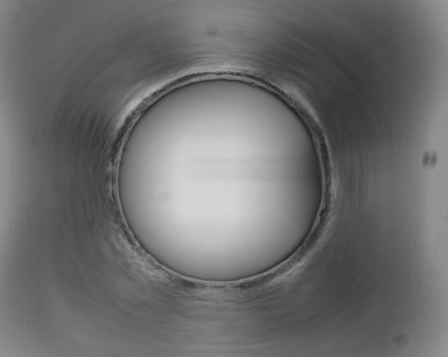X0000112510781200908171047