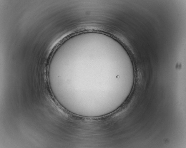 X0000112510782200908171047
