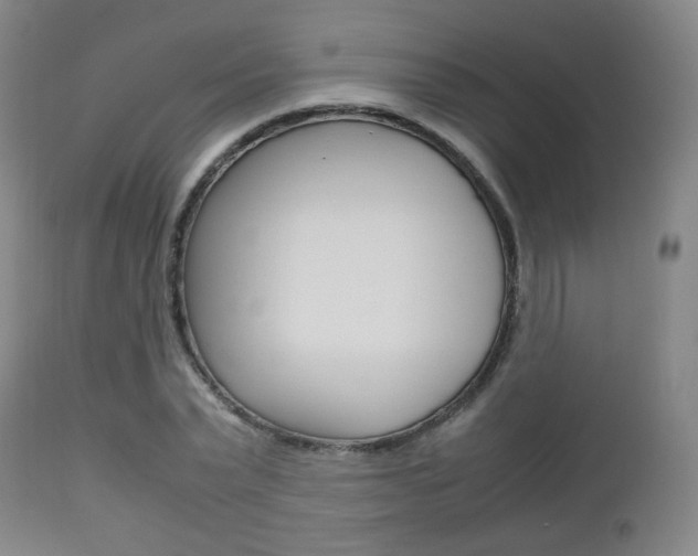 X0000112510783200908171047