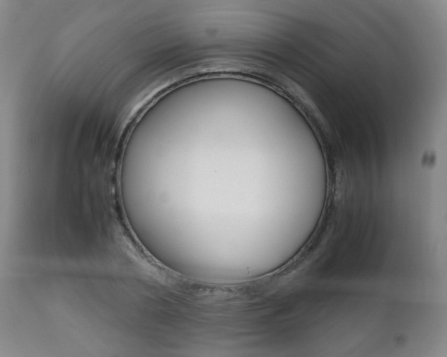 X0000112510786200908171047