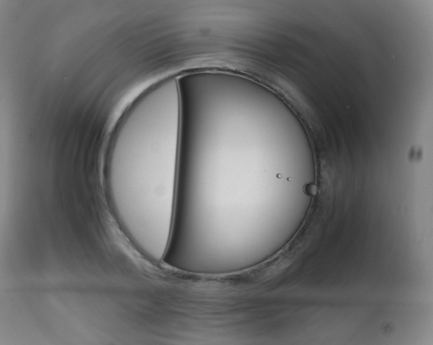 X0000112510788200908171047