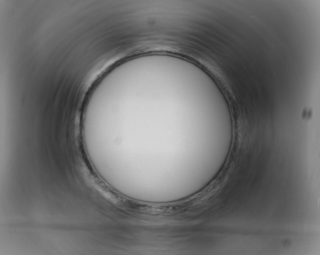 X0000112510790200908171047