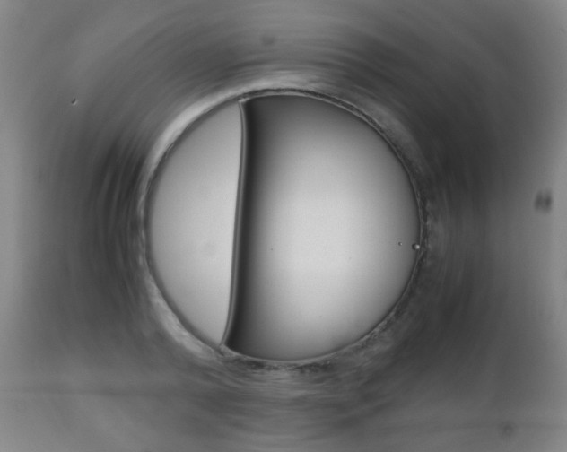 X0000112510792200908171047
