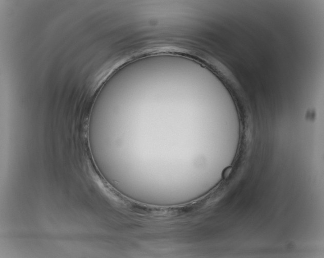 X0000112510793200908171047