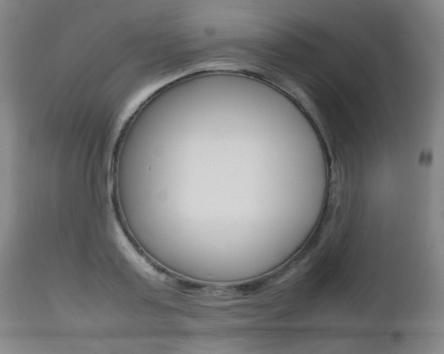 X0000112510795200908171047