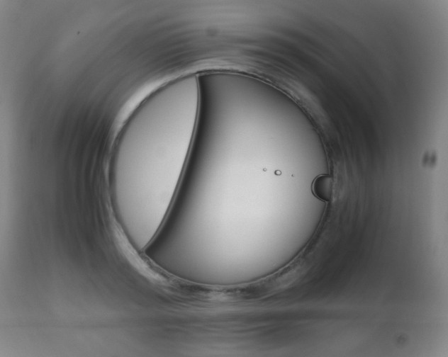 X0000112510796200908171047