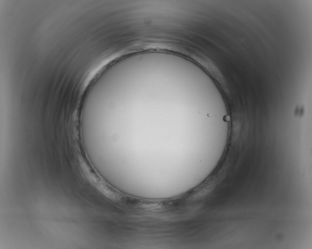 X0000112510798200908171047