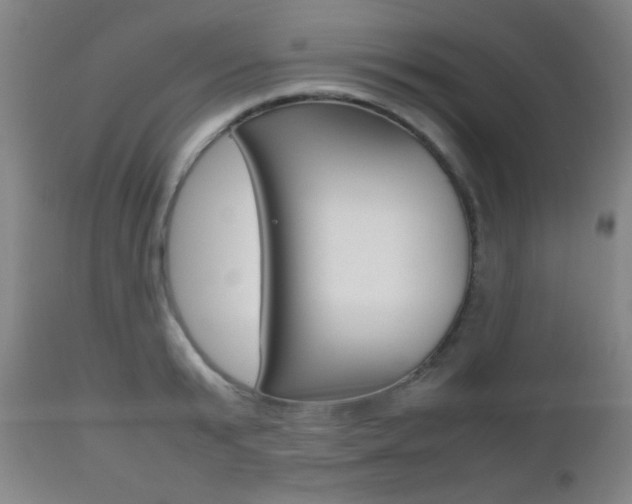 X0000112510799200908171047
