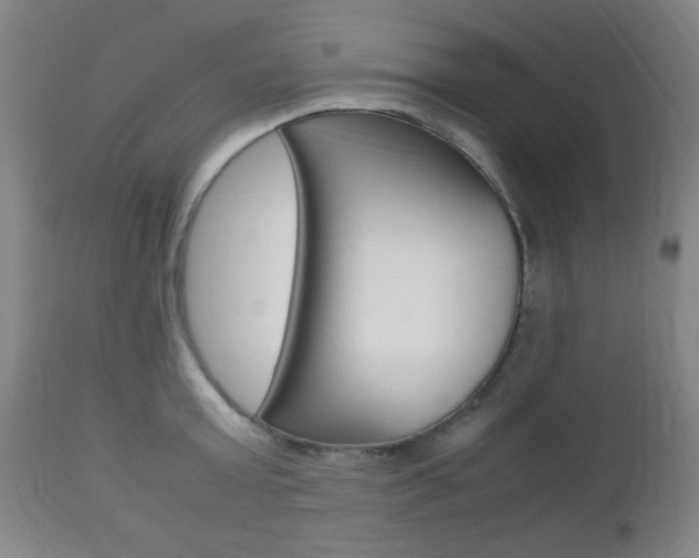 X0000112510803200908171047