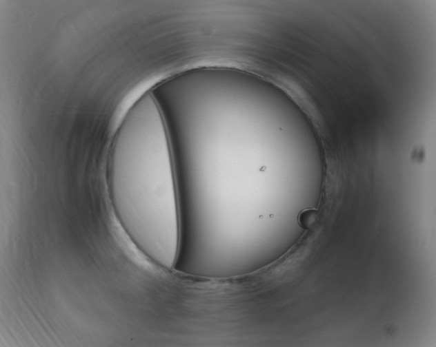 X0000112510804200908171047