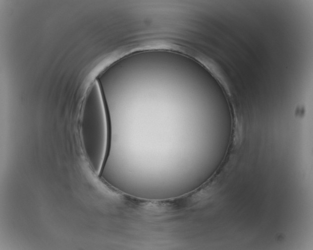 X0000112510805200908171047