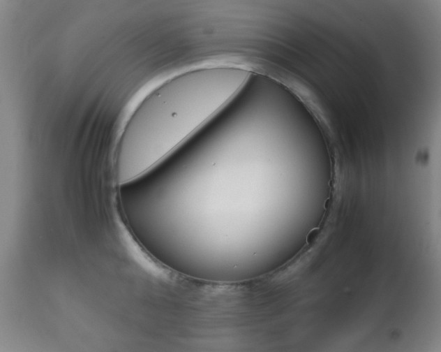 X0000112510808200908171046