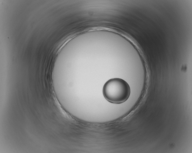 X0000112510809200908171046