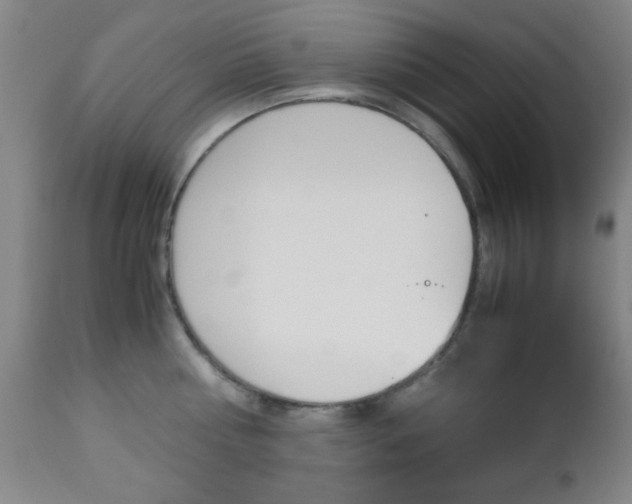 X0000112510810200908171046