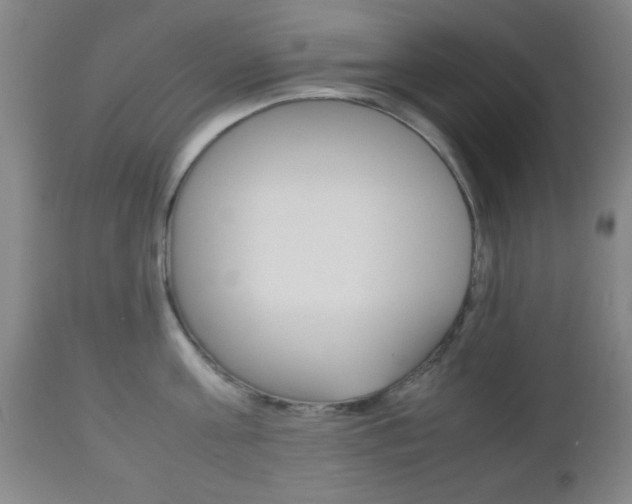 X0000112510811200908171046