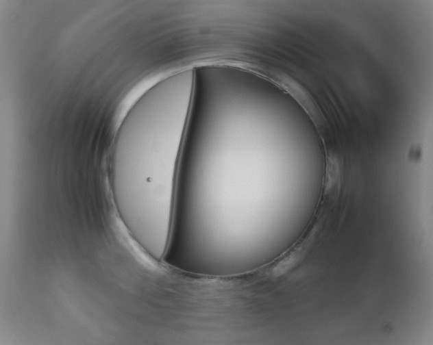 X0000112510812200908171046