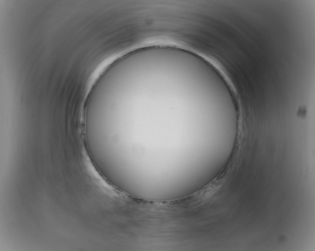 X0000112510815200908171046