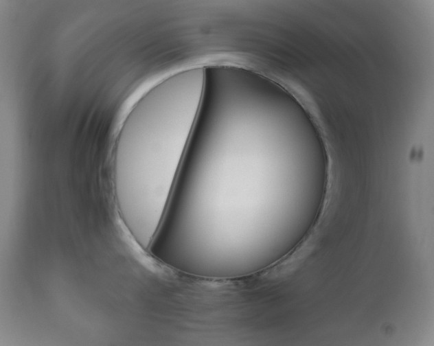 X0000112510816200908171046