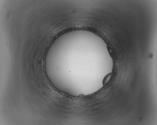 X0000112510817200908171046