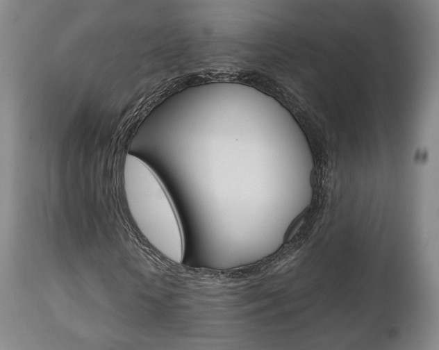 X0000112510818200908171046