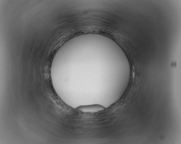 X0000112510819200908171046