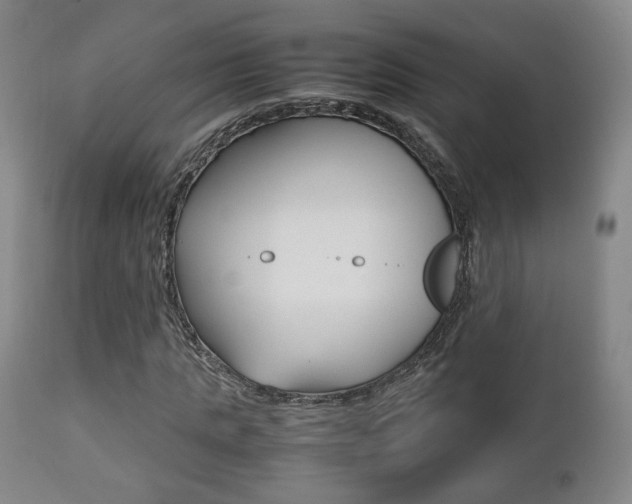 X0000112510821200908171046