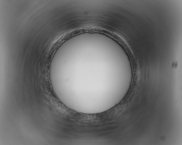 X0000112510823200908171046