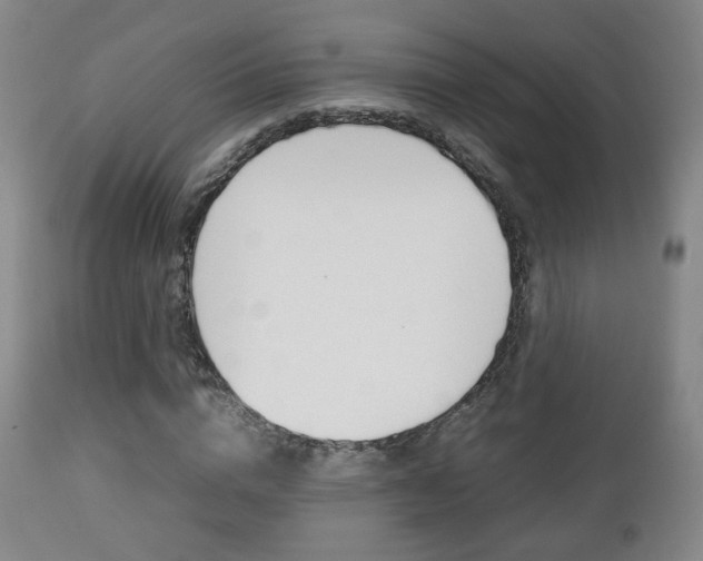 X0000112510824200908171046
