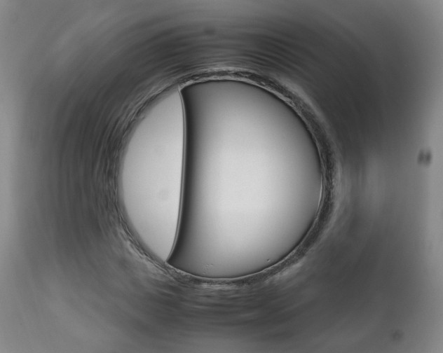 X0000112510825200908171046