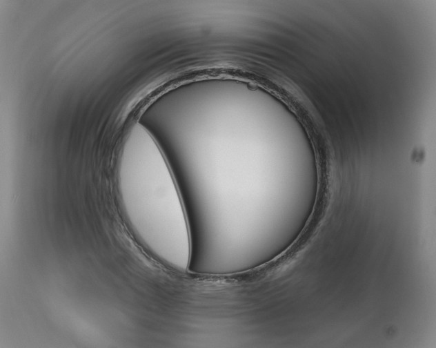 X0000112510826200908171046