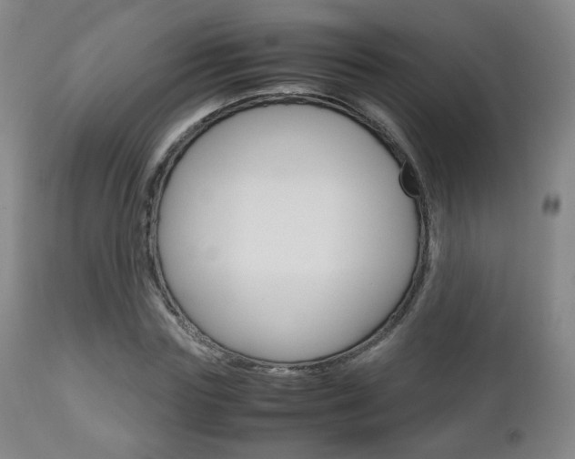 X0000112510827200908171046