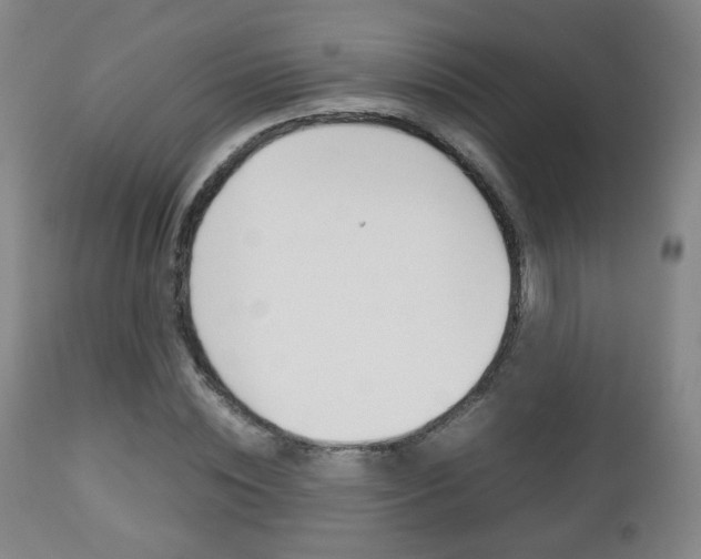 X0000112510828200908171046