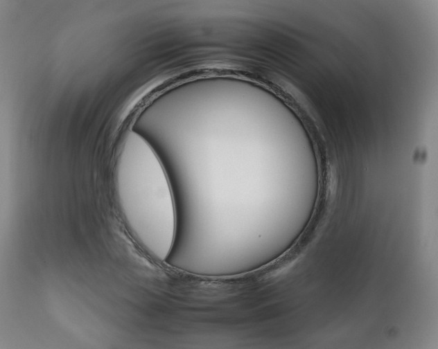 X0000112510829200908171046
