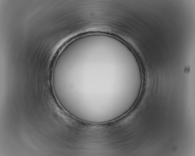 X0000112510830200908171046