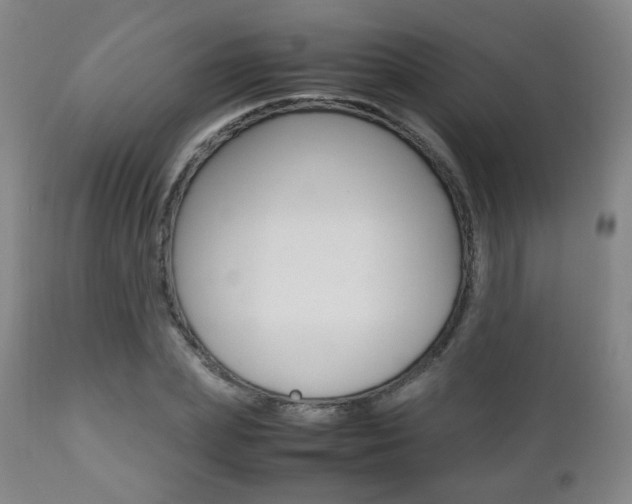 X0000112510831200908171046