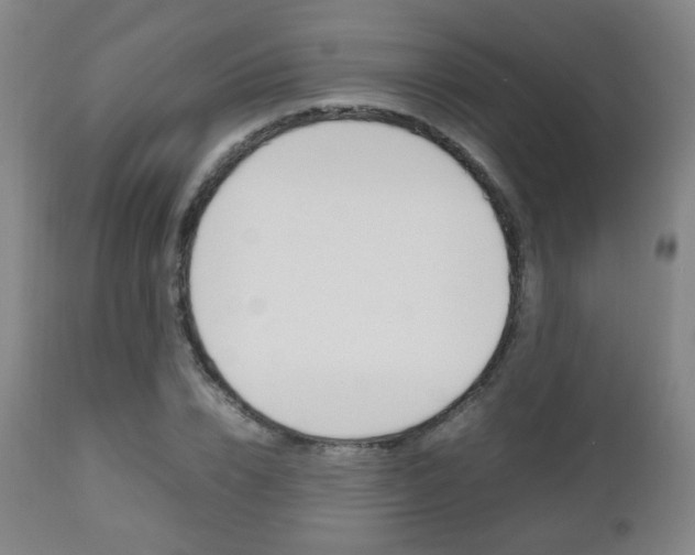 X0000112510832200908171046