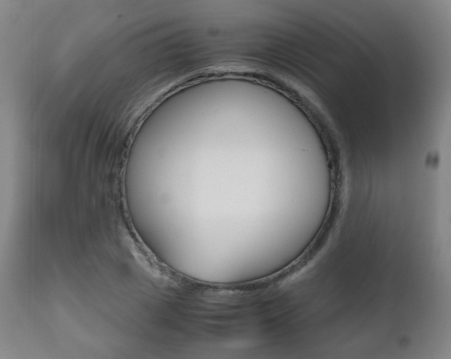 X0000112510833200908171046