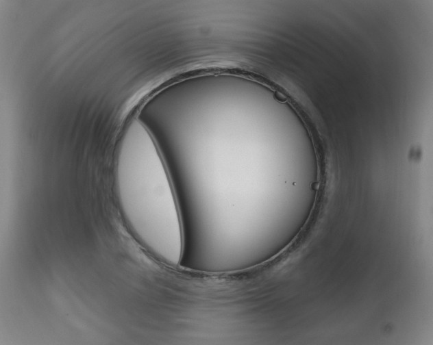 X0000112510834200908171046