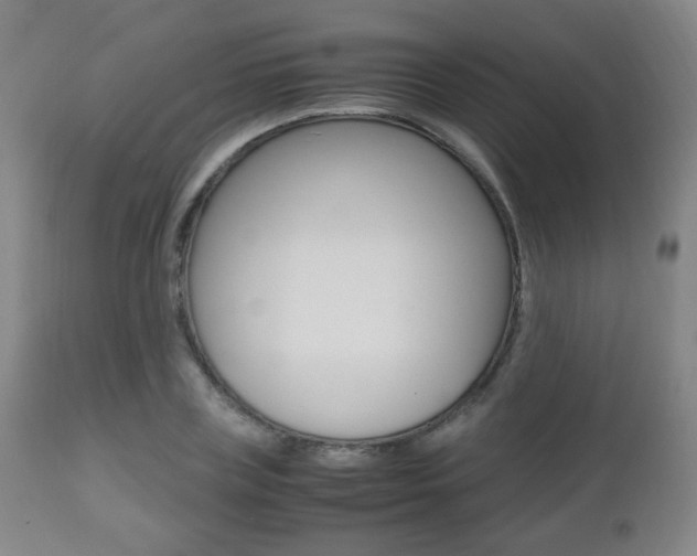X0000112510835200908171046