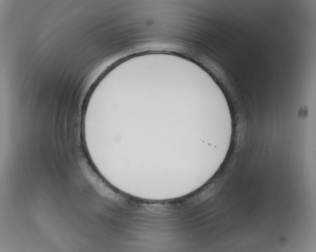 X0000112510836200908171046