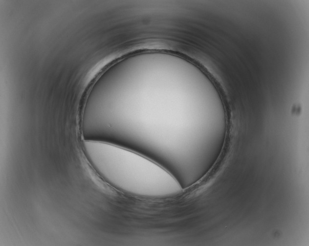 X0000112510837200908171046