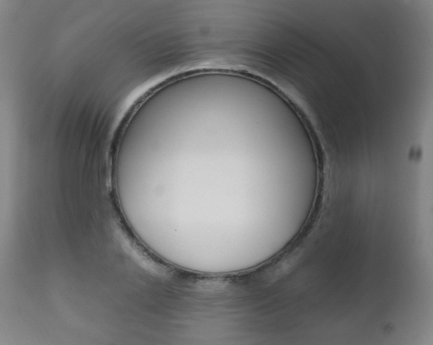 X0000112510838200908171046